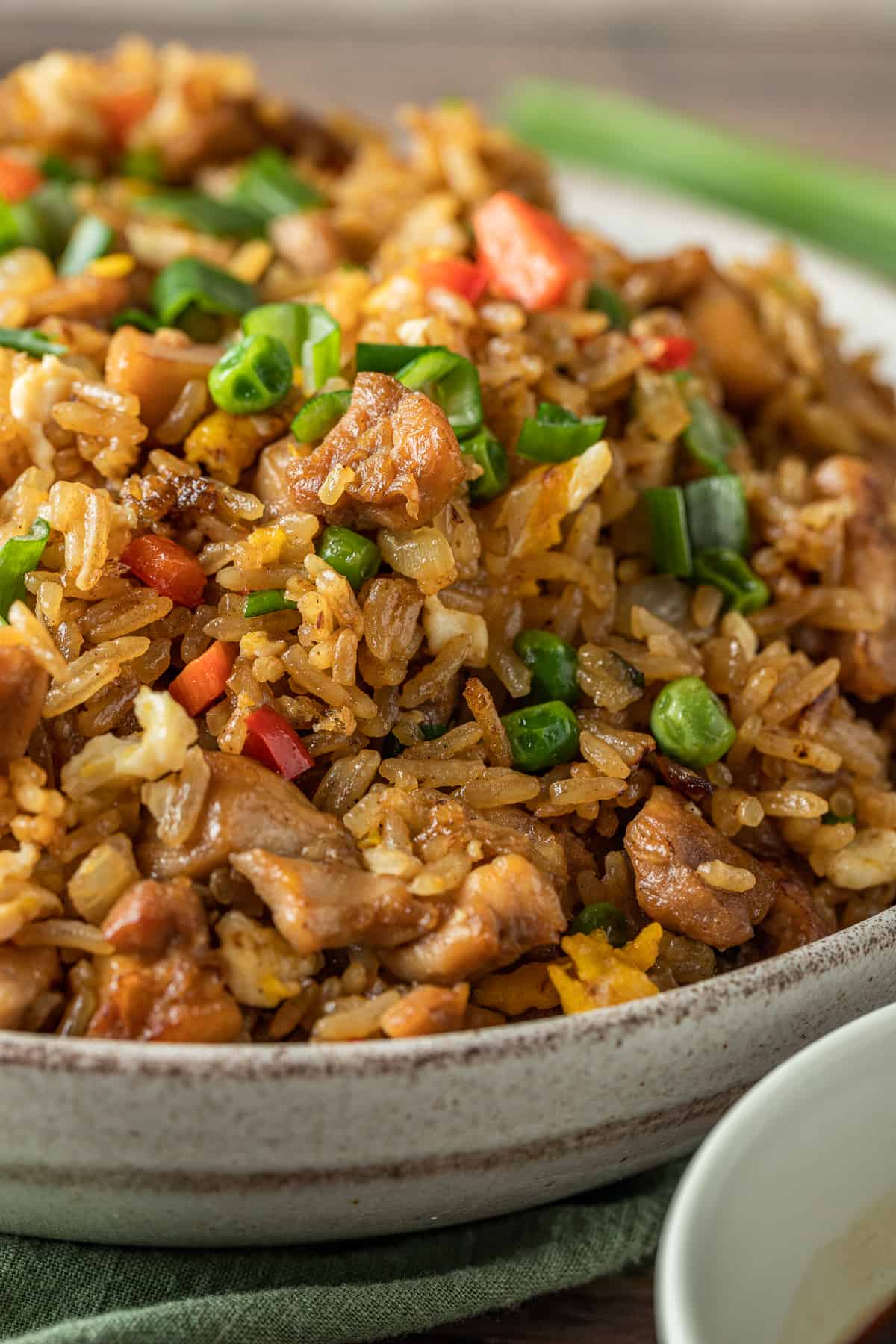 A close up view of a bowl of chicken fried rice