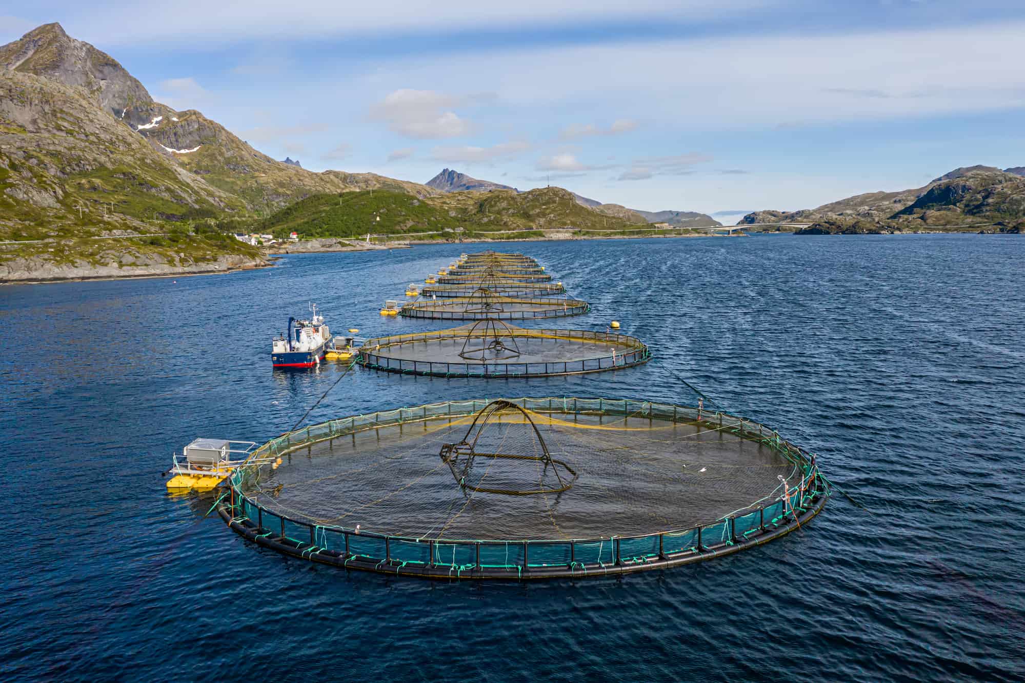 Farmed fishing nets and tanks in the ocean near norway.
