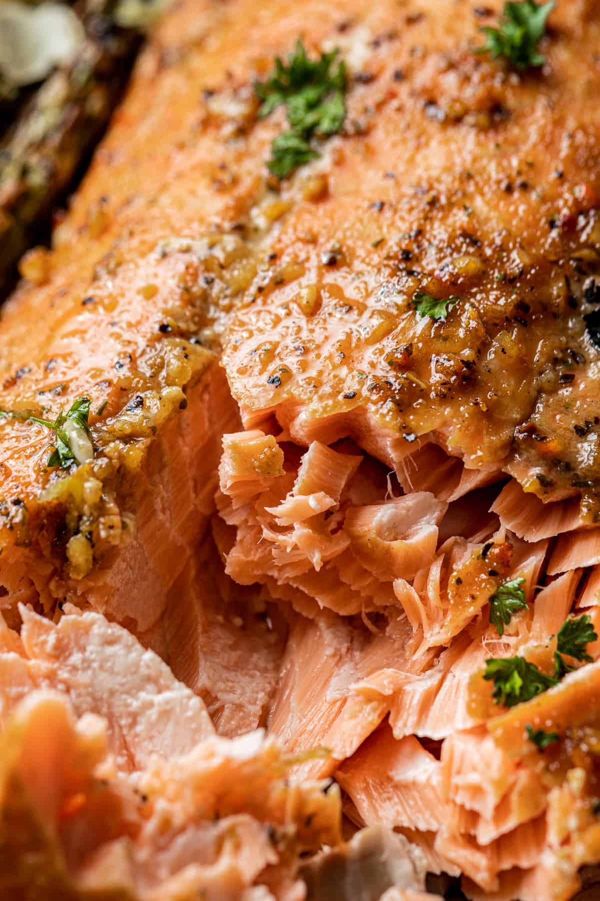A closeup shot showing the flakes of a smoked king salmon (pacific salmon) fillet.