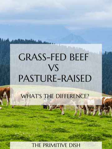 Cows grazing in a pasture with a text overlay reading grass-fed beef vs pasture-raised beef.